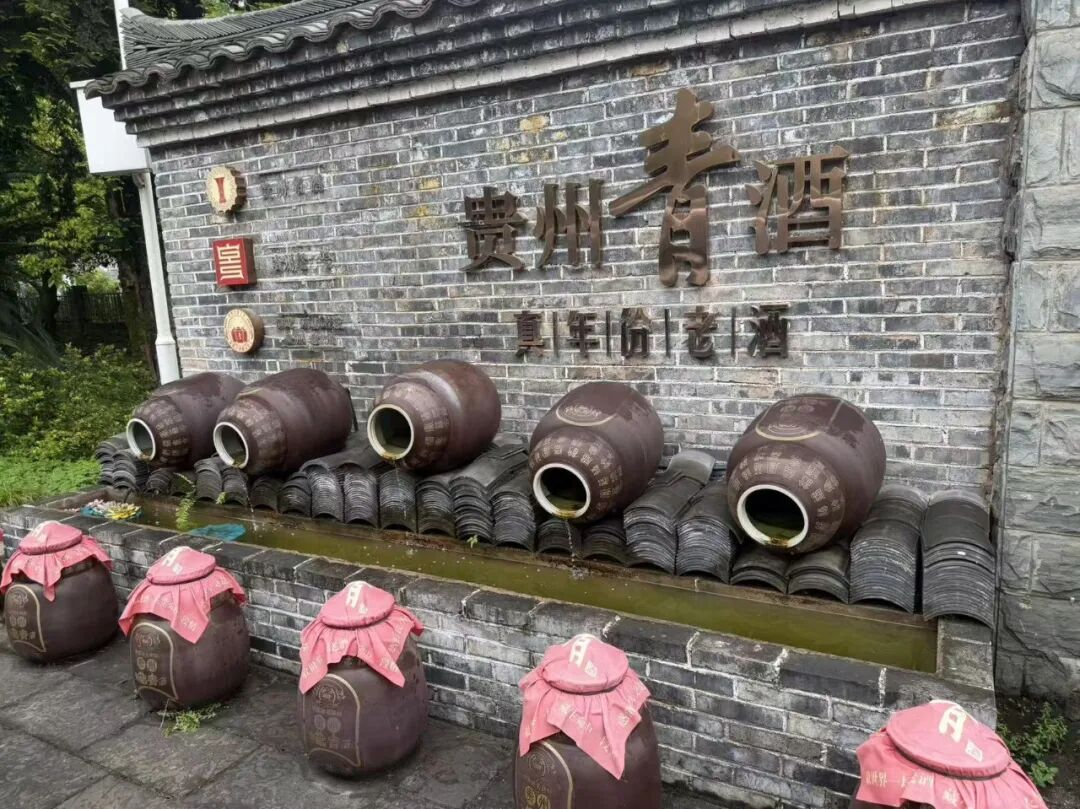 图片13